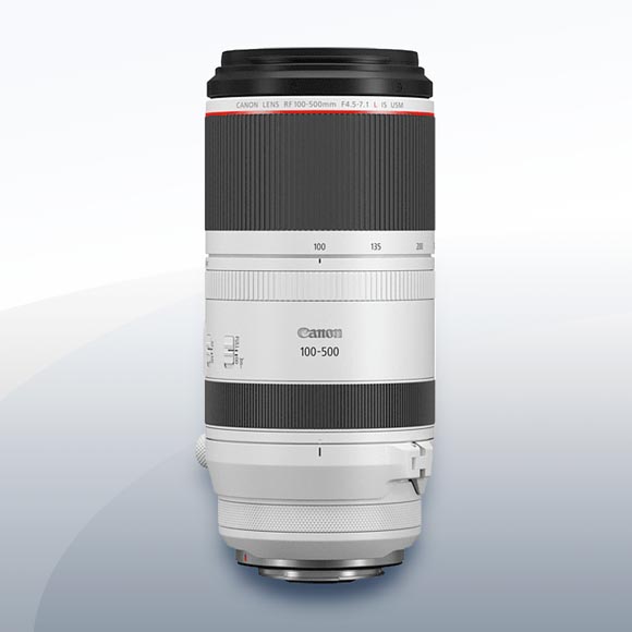 Canon RF 100-500mm F4,5-7,1 L IS USM Objektiv Vermietung