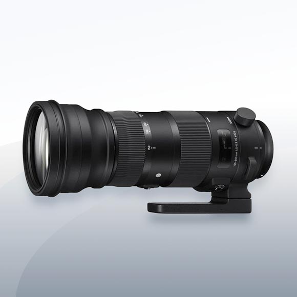 Sigma 150-600mm 5.0-6.3 DG OS HSM Sports 2 Objektiv Vermietung