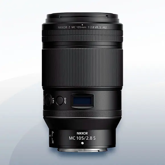 Nikon Z MC 105mm F2.8 VR S Macro Objektiv mieten 