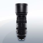 Sigma 150-600mm F5-6.3 DG DN OS Sports Sony E-Mount Objektiv Vermietung