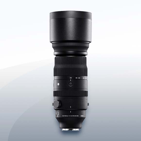 Sigma 150-600mm F5-6.3 DG DN OS Sports Sony E-Mount Objektiv Vermietung