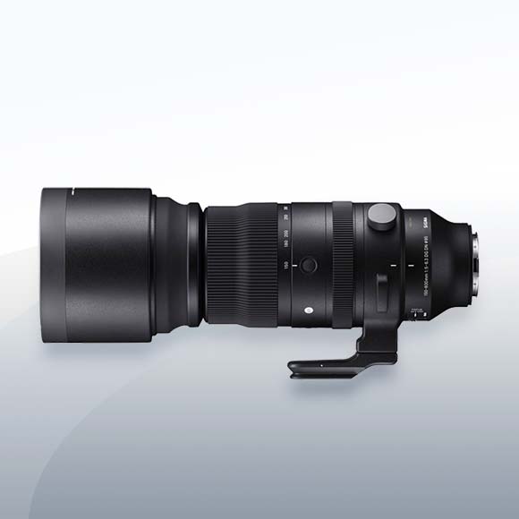 Sigma 150-600mm F5-6.3 DG DN OS Sports Sony E-Mount Objektiv Vermietung2