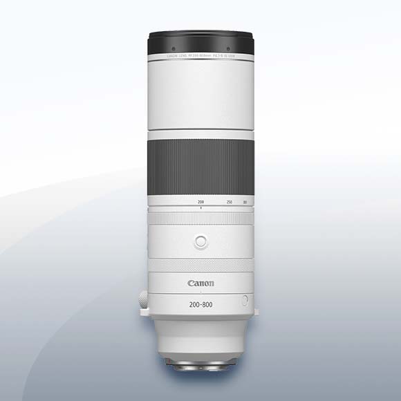 Canon RF 200-800mm F6.3 9 IS USM Objektiv Vermietung