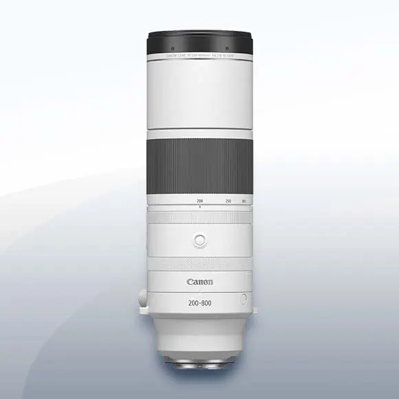 Canon RF 200-800mm F6.3 9 IS USM Objektiv Vermietung