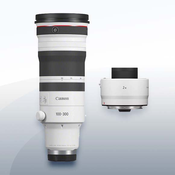 Canon RF 100-300mm F2.8L IS USM und Canon Extender RF 2 Objektiv Vermietung 1